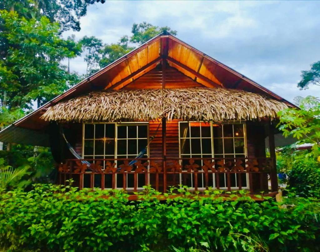 Quinta Primavera - Hosteria Campestre Nueva Loja Kültér fotó